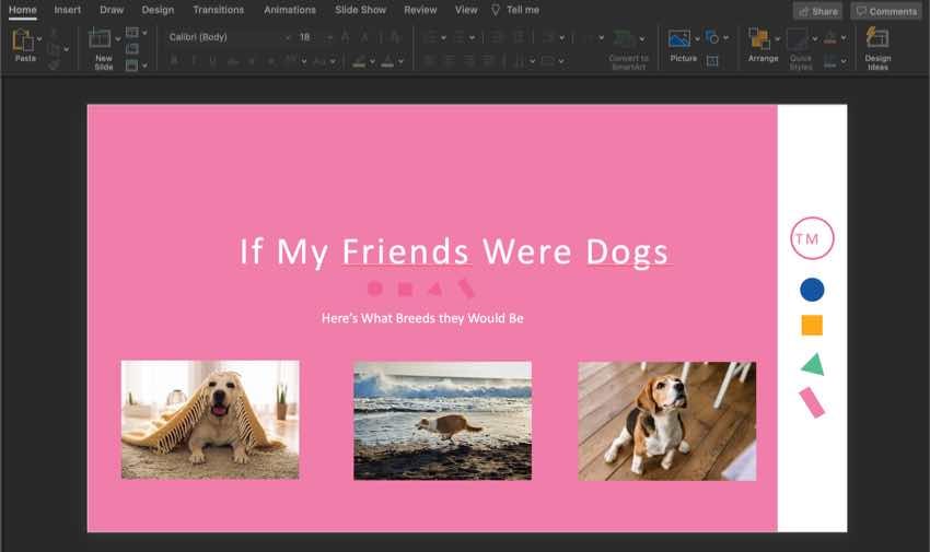 Si mes amis étaient des chiens présentation